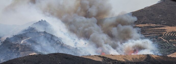 Φωτιά στο Ρέθυμνο: Δίωξη για κακούργημα στον υπεύθυνο του ΔΕΔΔΗΕ