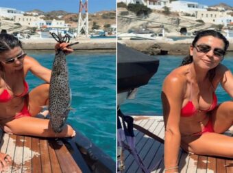 «Τον βρήκαμε ανοιχτά στο πέλαγος, νεκρό» – Τι διευκρινίζει για τον λαγοκέφαλο η Μαρίνα Βερνίκου