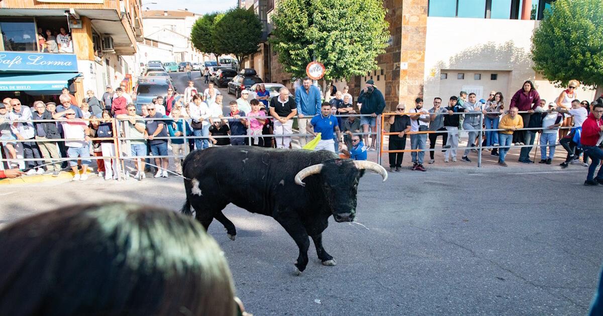 Ταύρος σκότωσε 64χρονη σε αγώνα ταυροδρομίας – Συγκλονιστικό βίντεο από την επίθεση (Σκληρές εικόνες)