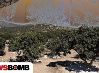 Το Newsbomb στα Μαστιχοχώρια της Χίου: Εκεί όπου ο σχίνος γίνεται «χρυσάφι»